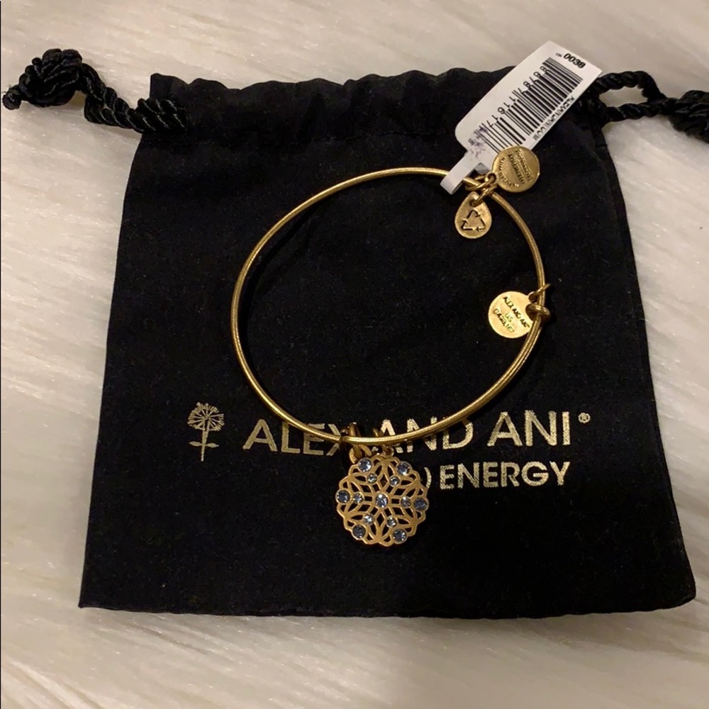 Snow ❄️ Flake Alex and Ani Bracelet